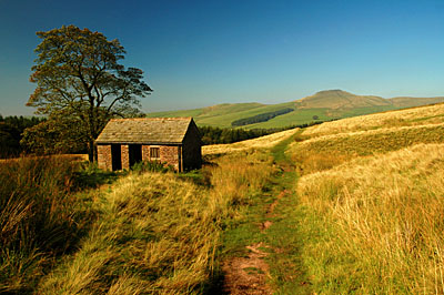 Autumn View of Shutlinsloe